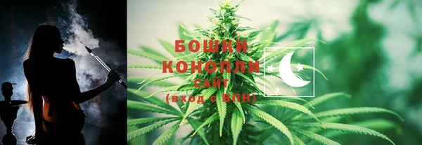 mdpv Новодвинск