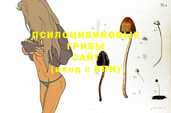 бутик Новозыбков