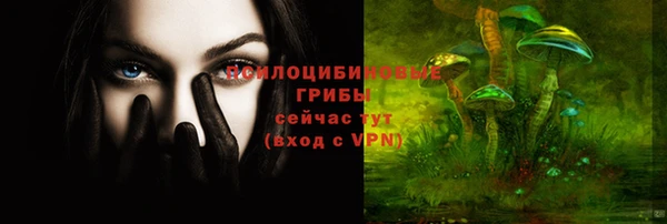 mdpv Новодвинск