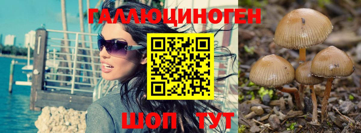 Кострома  Псилоцибиновые грибы прущие грибы  Вход с VPN 