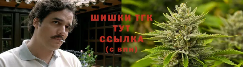 Каннабис SATIVA & INDICA  Кострома 